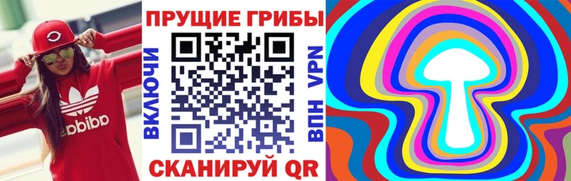 Купить  Прохладный  Псилоцибиновые грибы Psilocybine cubensis 